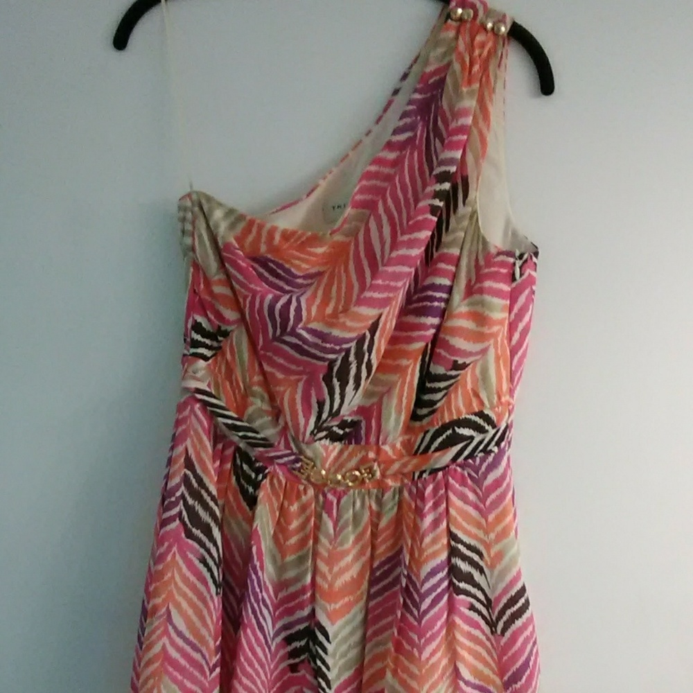 Trina Turk dress